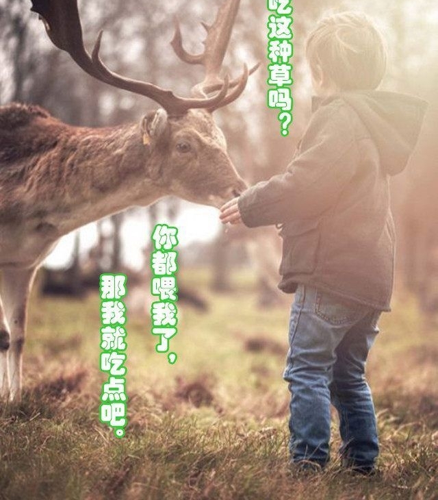 ���붯���г�ദ��˲��