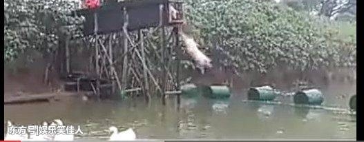 ũ���ү���������������ܻ�ø����棡
