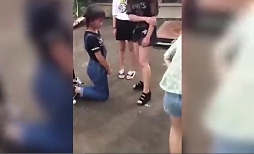 ����һ�������ֲ˵�����4��ͬѧ �̵��й�У԰�����¼�