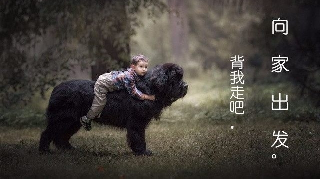 ���붯���г�ദ��˲��