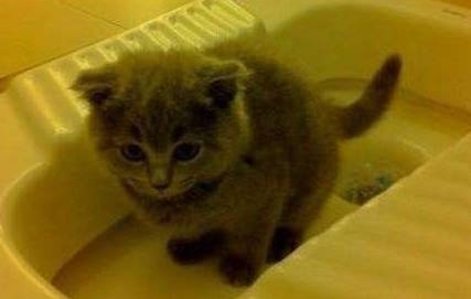 �ϲ����Ƕ��źû������źã�����һ����ζ���Ŀ��գ����㣡
