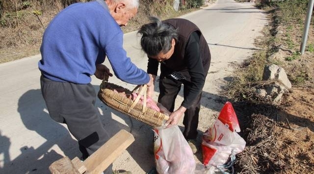 88岁老人养仨儿一个指望不上 仍下地干活讨口饭吃