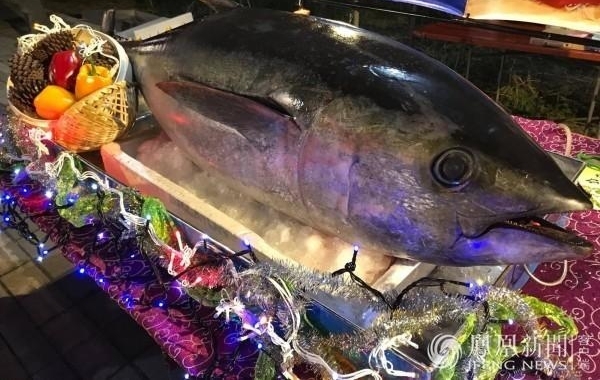 ����Ա��·�ھ� ����600���������