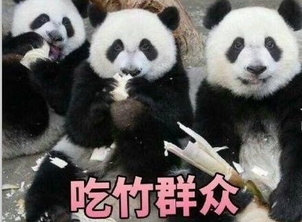 ����è�������ֽ��Ҫ��Ҫ��������죬����������Ӵ�Ӵ