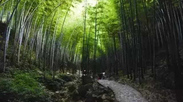 ����ɽ�����б����ˣ������⼸�죡����ϳ�ͷԼ������