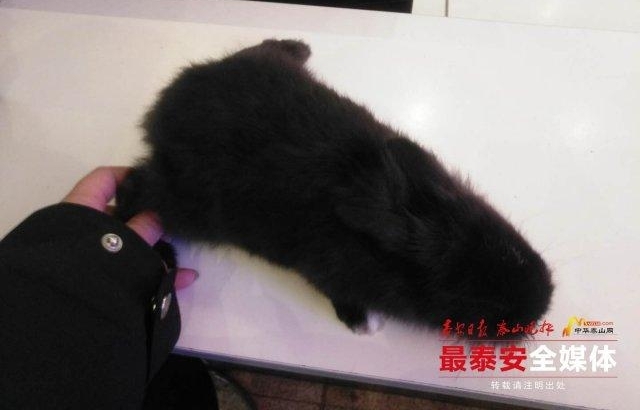 ��С���Ӳ���ñ�������͵�ɣ�һŮ��ѧ��̩��վ�����챻��