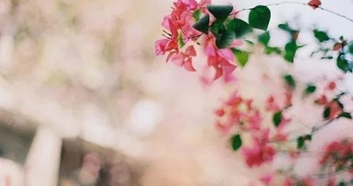 �����ദ����5���֣�˭��˭����