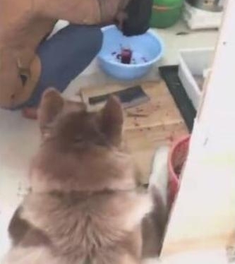 ����ʧ��һСʱ��������ؼң���ʺ�٣��ϱ�����������