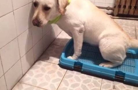 �ϲ����Ƕ��źû������źã�����һ����ζ���Ŀ��գ����㣡