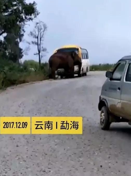 ����Ұ�󡰴�١��ͳ������粣������һ��������