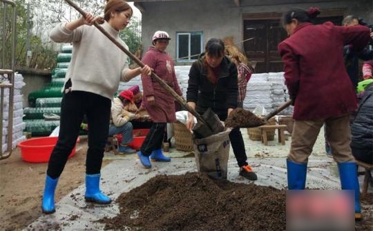 女大学生放弃高薪,回家种田,800亩荒地变“聚宝盆”