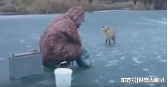 ���ӱ���ż��һֻ���꣬ǰ����ʳ�쳣���ɣ��ⳡ��ʮ����ܰ