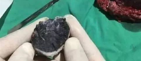 致袁立,我的疯女人