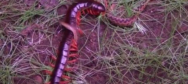 ��������������������߽�һ����������һ��������һ�����ڴ��