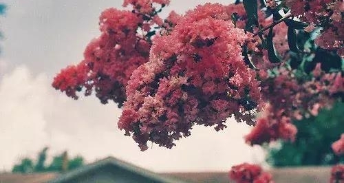 �����ദ����5���֣�˭��˭����