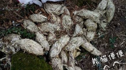 ����è�������ֽ��Ҫ��Ҫ��������죬����������Ӵ�Ӵ