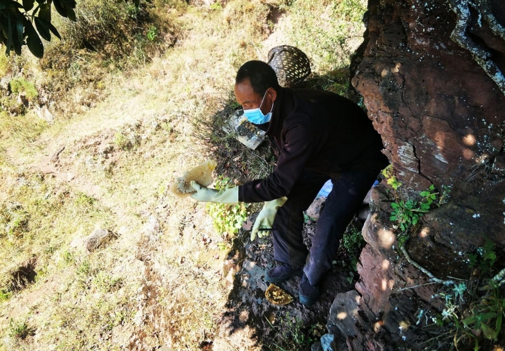 大凉山悬崖峭壁遍布木箱 村民脱贫靠它