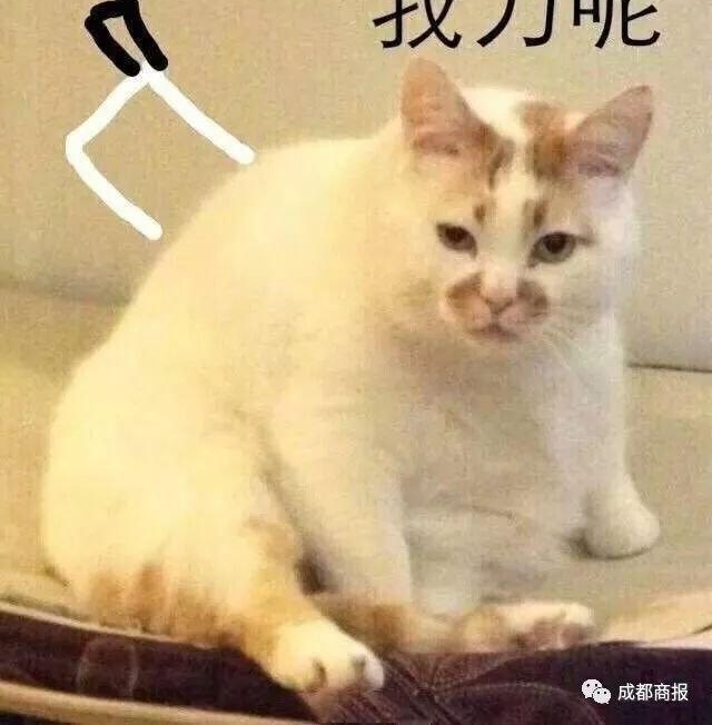 ���ģ�00 ���� QQ��΢��̫���� �ʺ�������