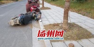 һ������ƺ������¹� ���Ӿƺ���綯��ײ������