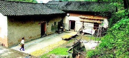 儿媳生男孩婆婆扔下锄头往家跑,回家噩耗传来,老人却说是天意