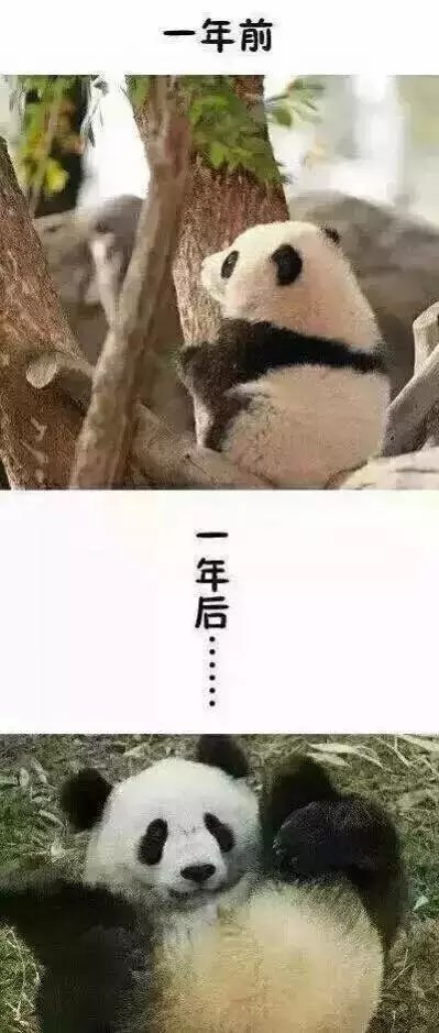 ȳһǰһĶԱ