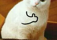 �ں������Ŷӵ�λ���۸�������׬Ǯ�������������ġ���