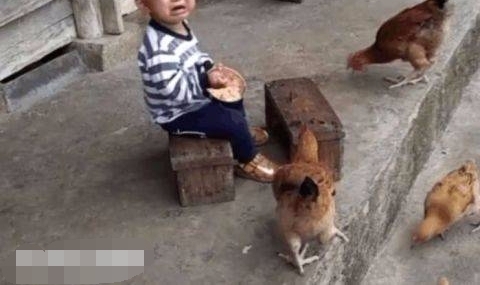 С�к�������Ժ����Է����������һȺ�����ҳ���������