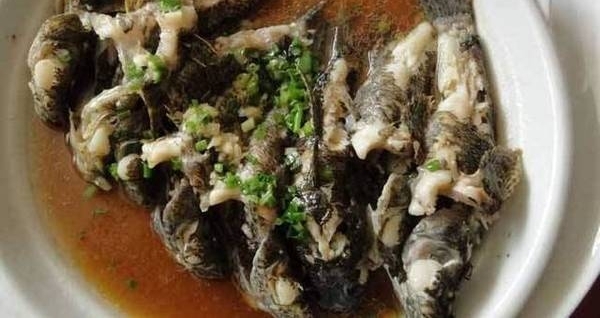 ·�߹ž�������˵�Ǻ����ѣ���һ�����������