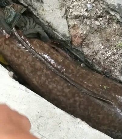 ˮ���������ػ���ˮ�ײ��˶���Ĵ��㣬������1.2�׳�