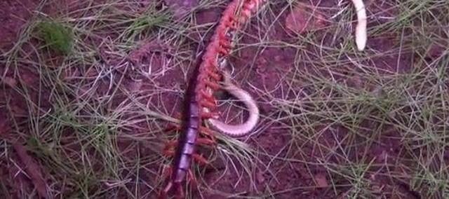 ��������������������߽�һ����������һ��������һ�����ڴ��