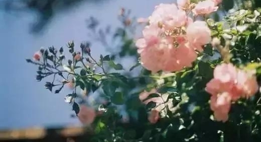 �����ദ����5���֣�˭��˭����