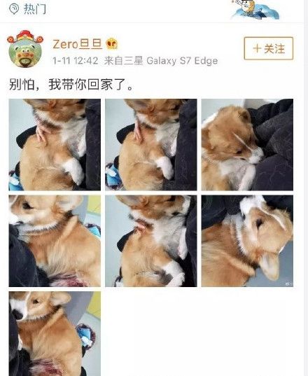 ��ˤ�»��������˼��ſڱ��ڻ�Ȧ������ ���籨�����������
