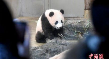 �����ұ�ͯ�� ÿ�챻�Ƚӿ�7Сʱ