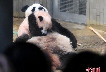 �����ұ�ͯ�� ÿ�챻�Ƚӿ�7Сʱ