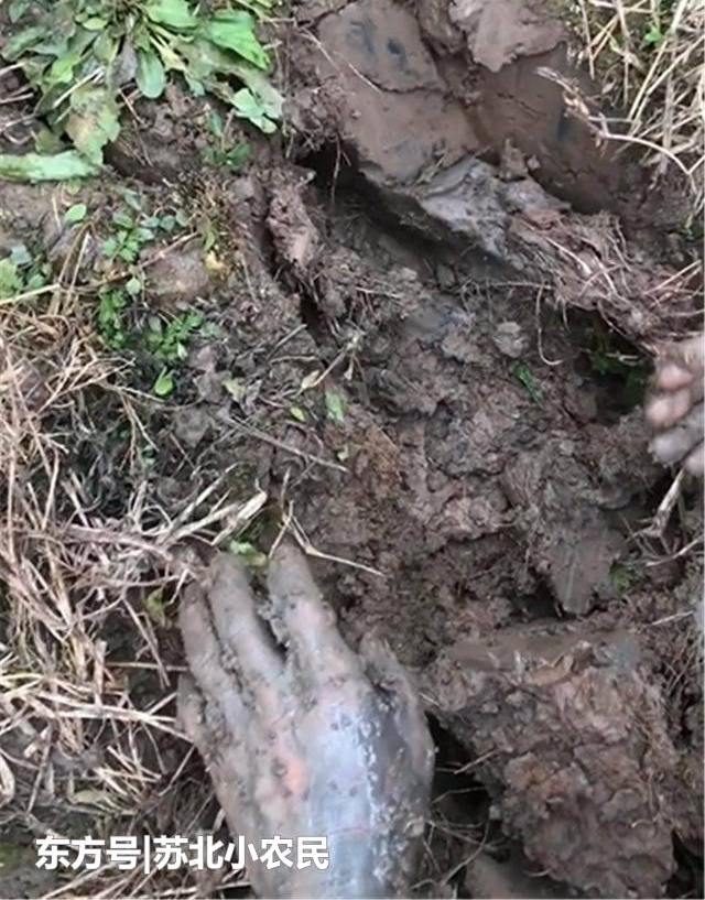 ����ǿ����ප������һ��Ұ�����������������յĽ���