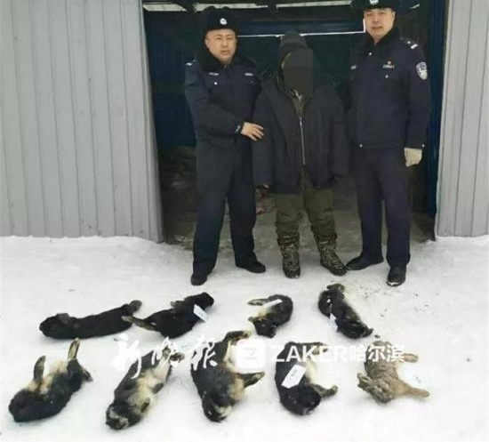 ������һ������Ұ��Ұ�á�Ұζû�ȳ�����Ƿ����Ա���