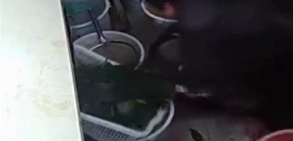 3����������������Ů�������ٲ˵���в 2�˱���