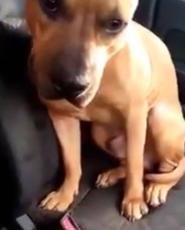 ���������˲���ʱҧ��ɲ����һ���ھΣ����˿�����Ҳ����������