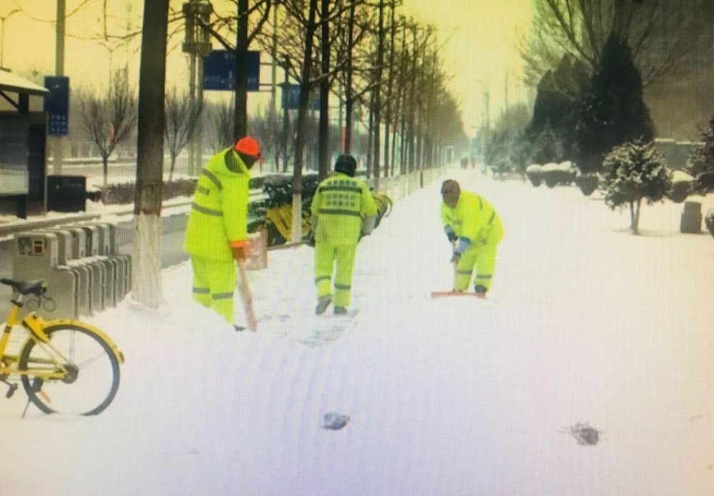 直播60分【点赞】谁说大雪只有白色 还有这些暖心的“颜色”