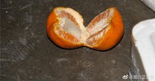 �ɶ�������ͨ�����ӷ�������Ʒ �����С��ʶ��