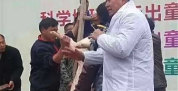 幼儿园组织全园孩子围观“杀猪” 体验过年气氛
