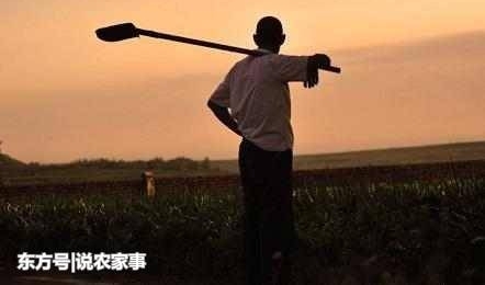 在农村很常见的三大现象,几乎家家都存在,城里人却表示无法理解