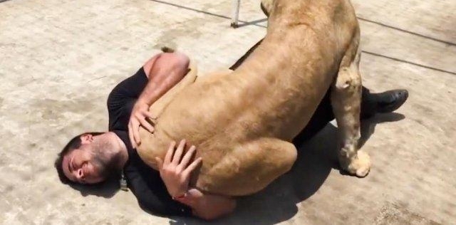 ĸʨ���Լ��ľ��������ط꼤�������Ա������������Ǿ�ϲ