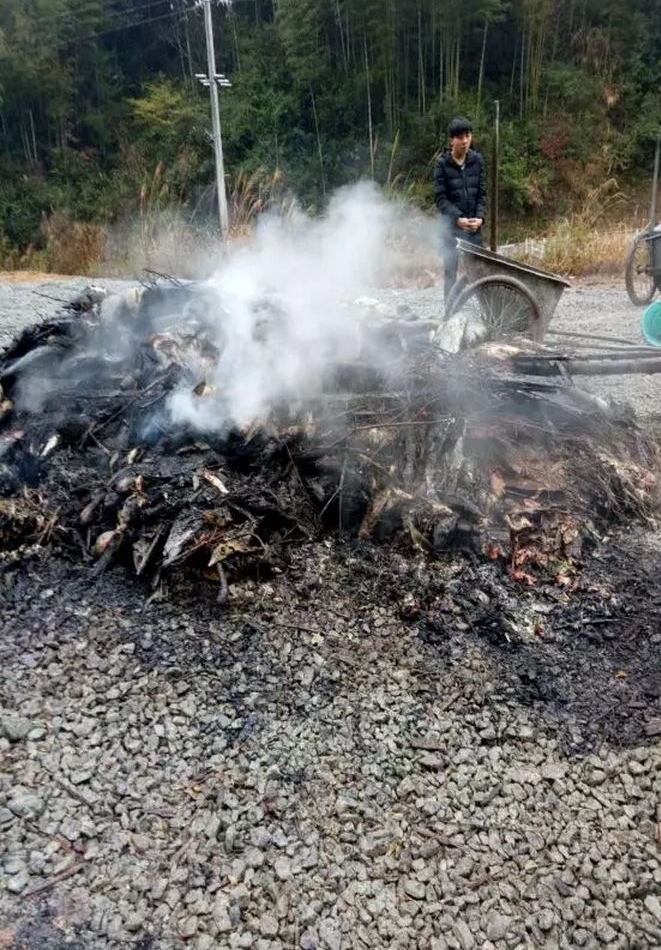 桂林12口鱼塘惨遭投毒?直接经济损失达25万元!