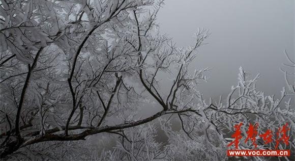 �~ɽ������������� �ο;���������