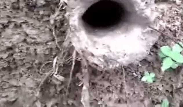 ������ɽ���Ϸ���һ��Բ�εĶ��ڣ����Сľ�����ͳ����ֶ���