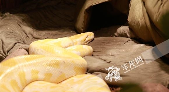 С��������ô�ȹ����������߹��ޱ���촵�յ�