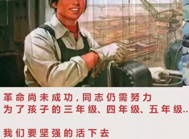 第一批 80 后已经被 00 后气死!一写作业鸡飞狗跳!