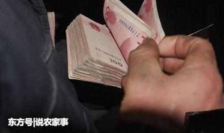 在农村很常见的三大现象,几乎家家都存在,城里人却表示无法理解
