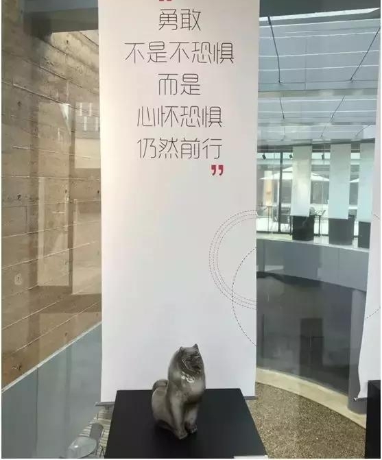 ��ȫ��Ȯ�⡱�������׽��մɵ�����Ф��¡�ؿ�Ļ